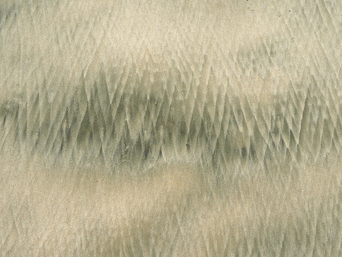 © 2024 Martin Kaegi