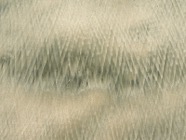 Jan.24.0371.jpg