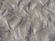 Scotland.2019.0516.jpg