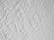 PICT2842.jpg
