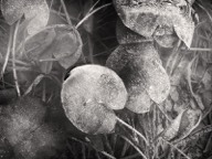 Stacks Image 144