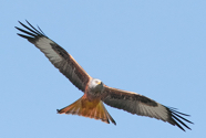 April.20.0255.jpg
