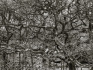 April.-22.2639.jpg