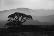 Scotland 2010.0289.jpg