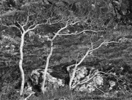 April.-22.2528.jpg