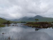 Scotland 2010.1007.jpg