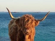 Scotland.2017.1677.jpg