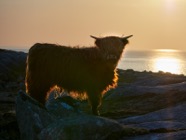 Scotland.2017.1085.jpg