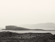 Scotland 2010.0718